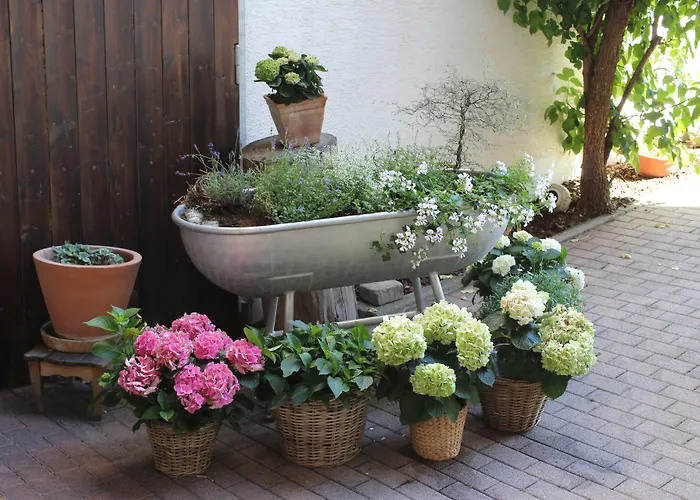 מלון Und Zum Loewen