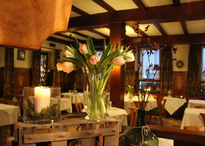 Und Zum Loewen מלון Hirschberg an der Bergstraße