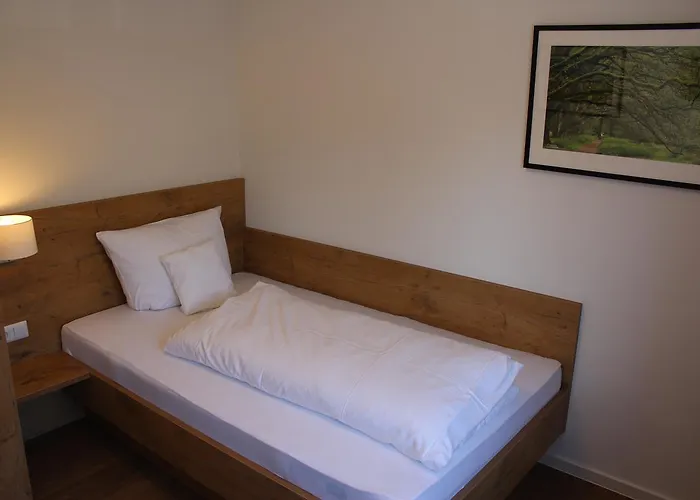 מלון Und Zum Loewen 3*